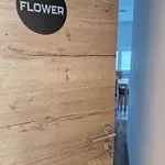 Apartman Linden Retreat With Sauna
